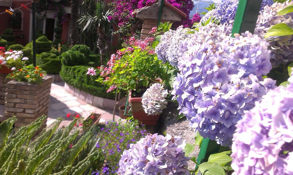 Apartment City Garden Κότορ Δωμάτιο φωτογραφία
